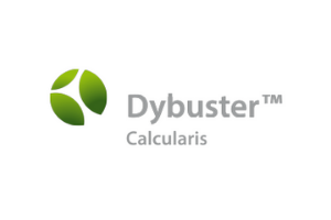 Dybuster Calcularis