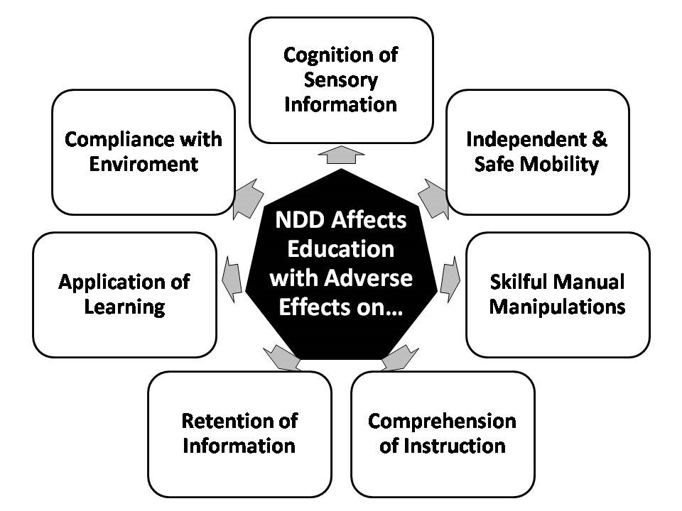 case study 1 for neurodevelopmental disorders joey